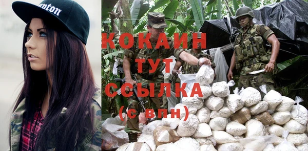 гашик Алзамай