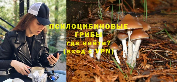 бошки Алексин