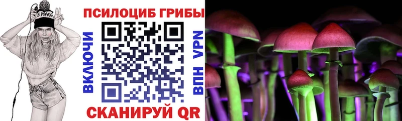 кракен онион  Бикин  Псилоцибиновые грибы мухоморы 